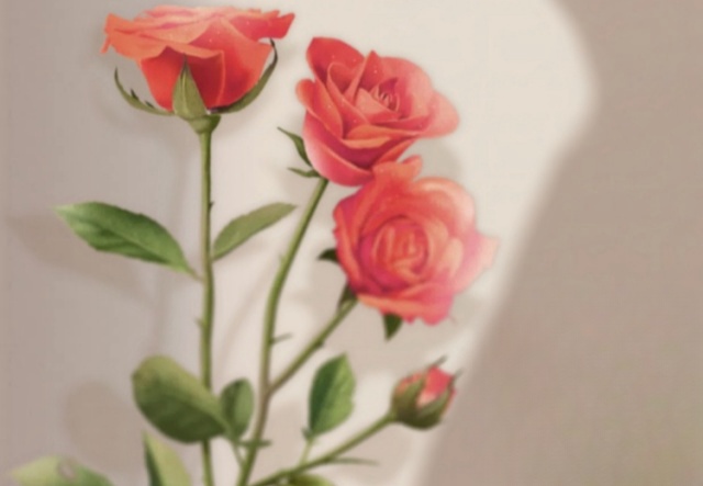 祝天下女神們節(jié)日快樂(lè)！??！